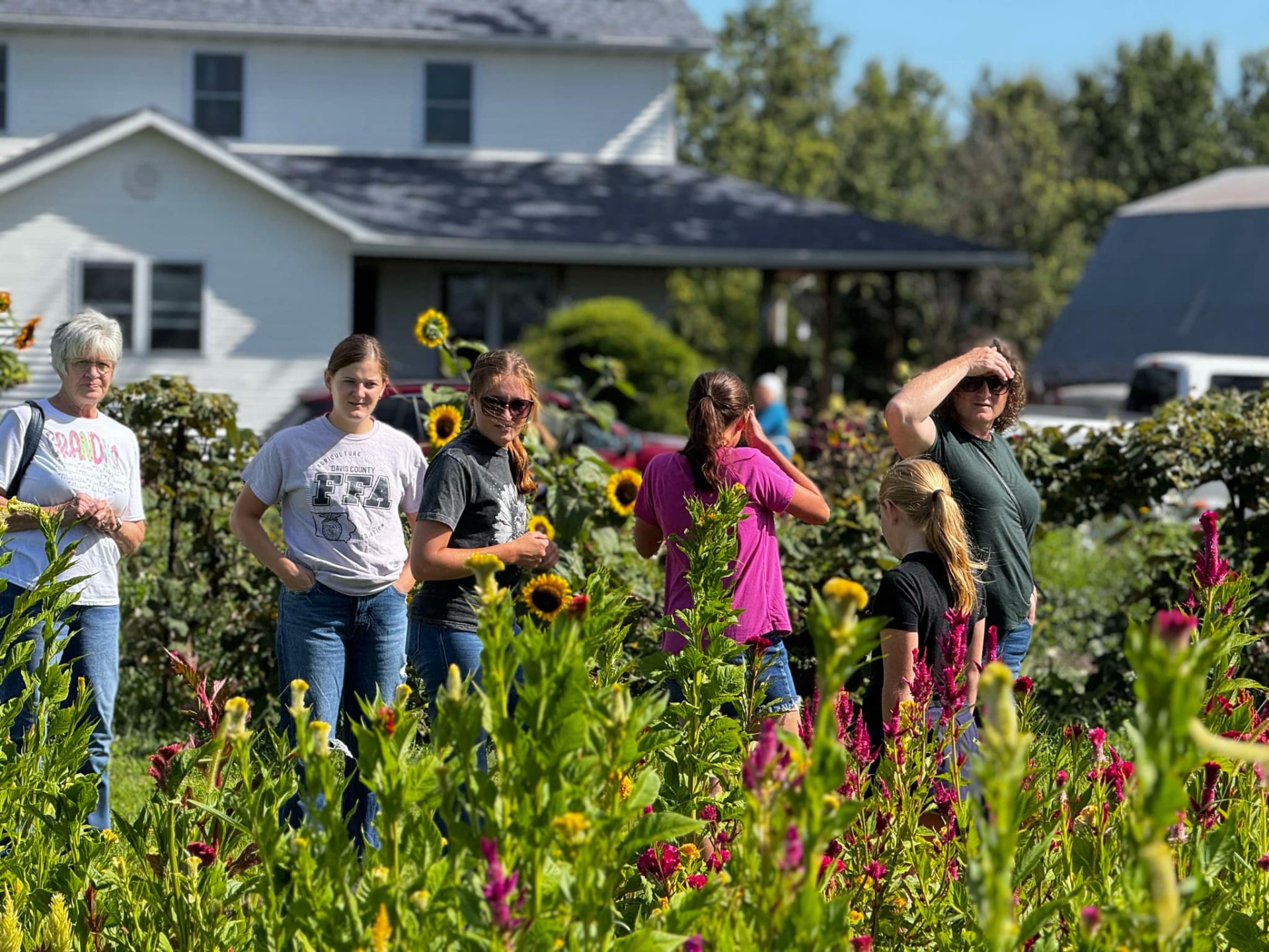 Photo for Wagons, Wildflowers, and Winding Roads: A Day on the J40 Farm Crawl