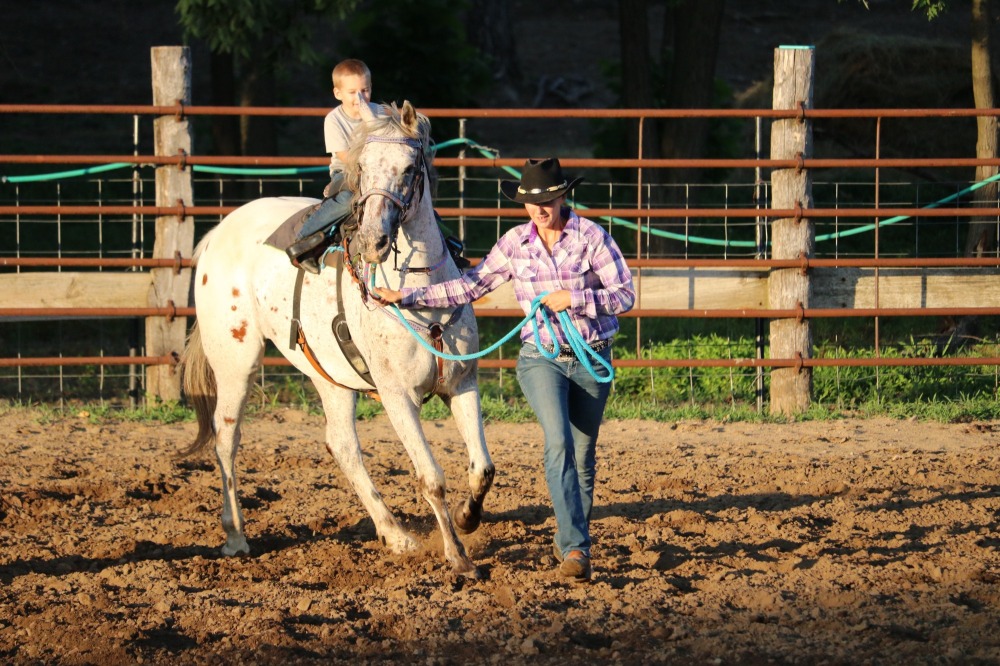 Ranch Horse Show Series at River Valley Lodge photo