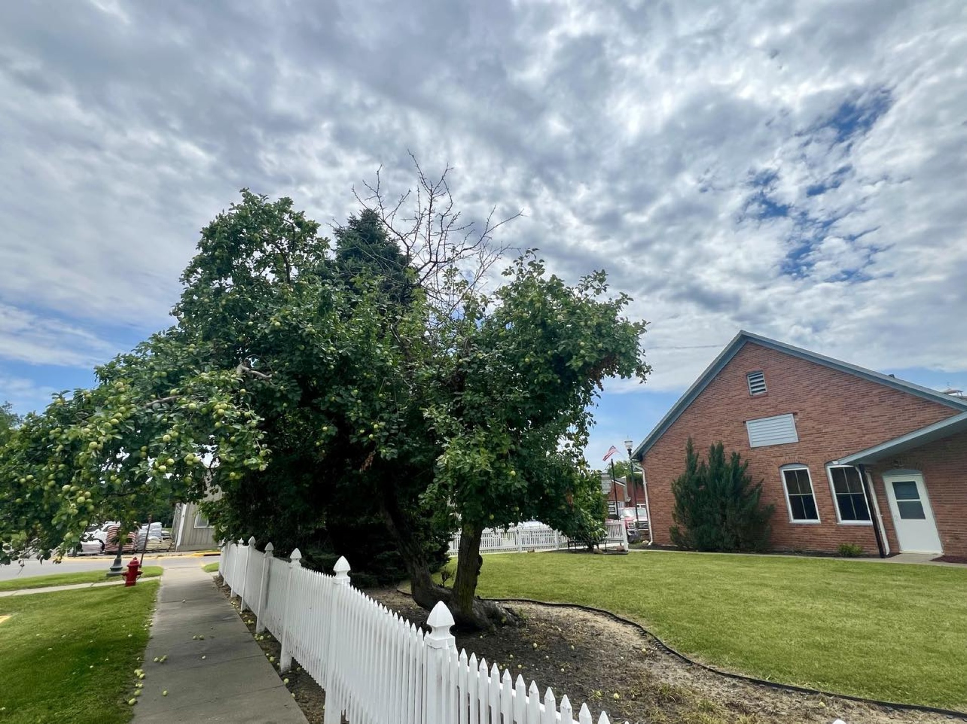 The Van Buren County Welcome Center courtyard and apple tree.