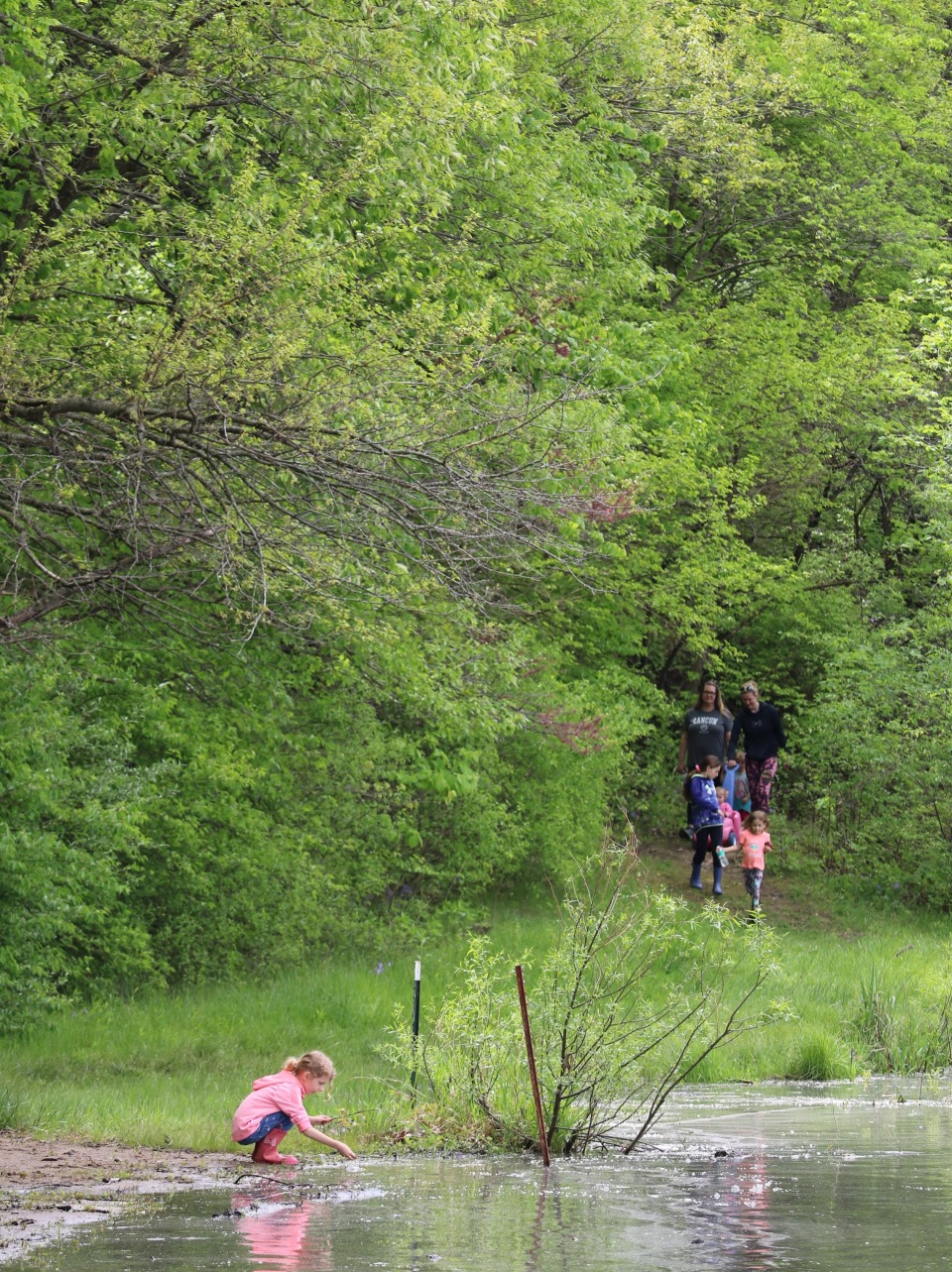 Trails in Van Buren County photo